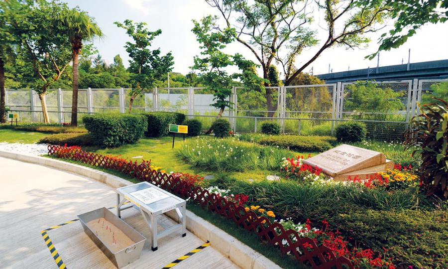 綠色殯葬 - 紀念花園撒灰服務