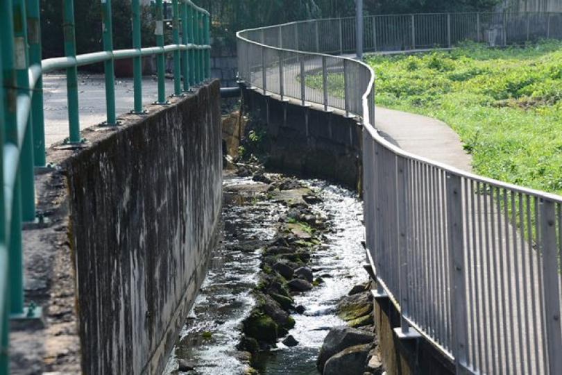 7月環保違例個案61宗