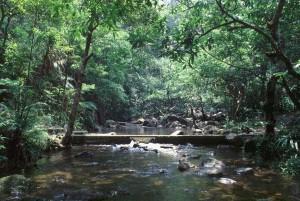 大埔滘自然護理區1